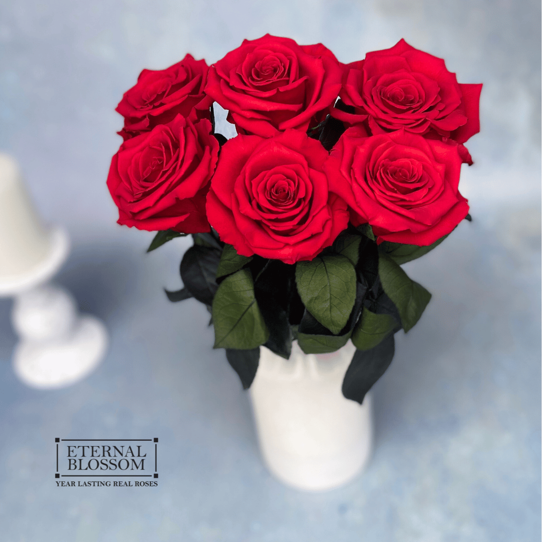 Half a Dozen Long Stem Roses - Year Lasting Infinity Roses