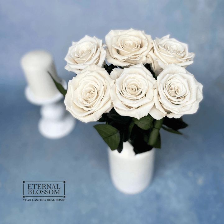 Half a Dozen Long Stem Roses - Year Lasting Infinity Roses