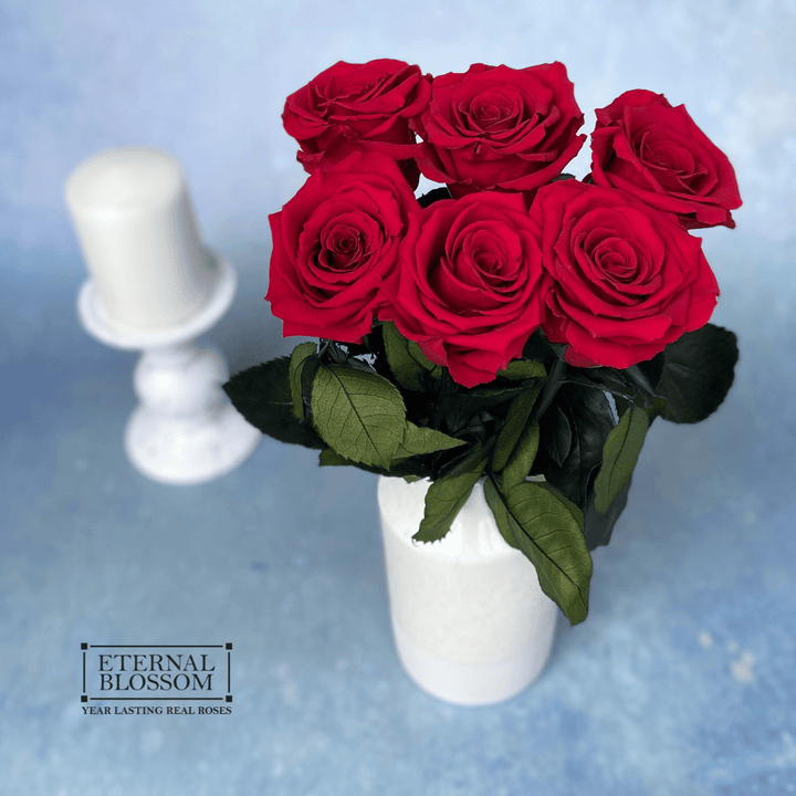 Half a Dozen Long Stem Roses - Year Lasting Infinity Roses