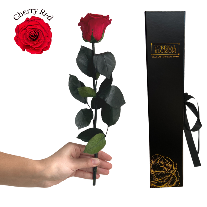 Individual Long Stem Rose - Year Lasting Infinity Roses