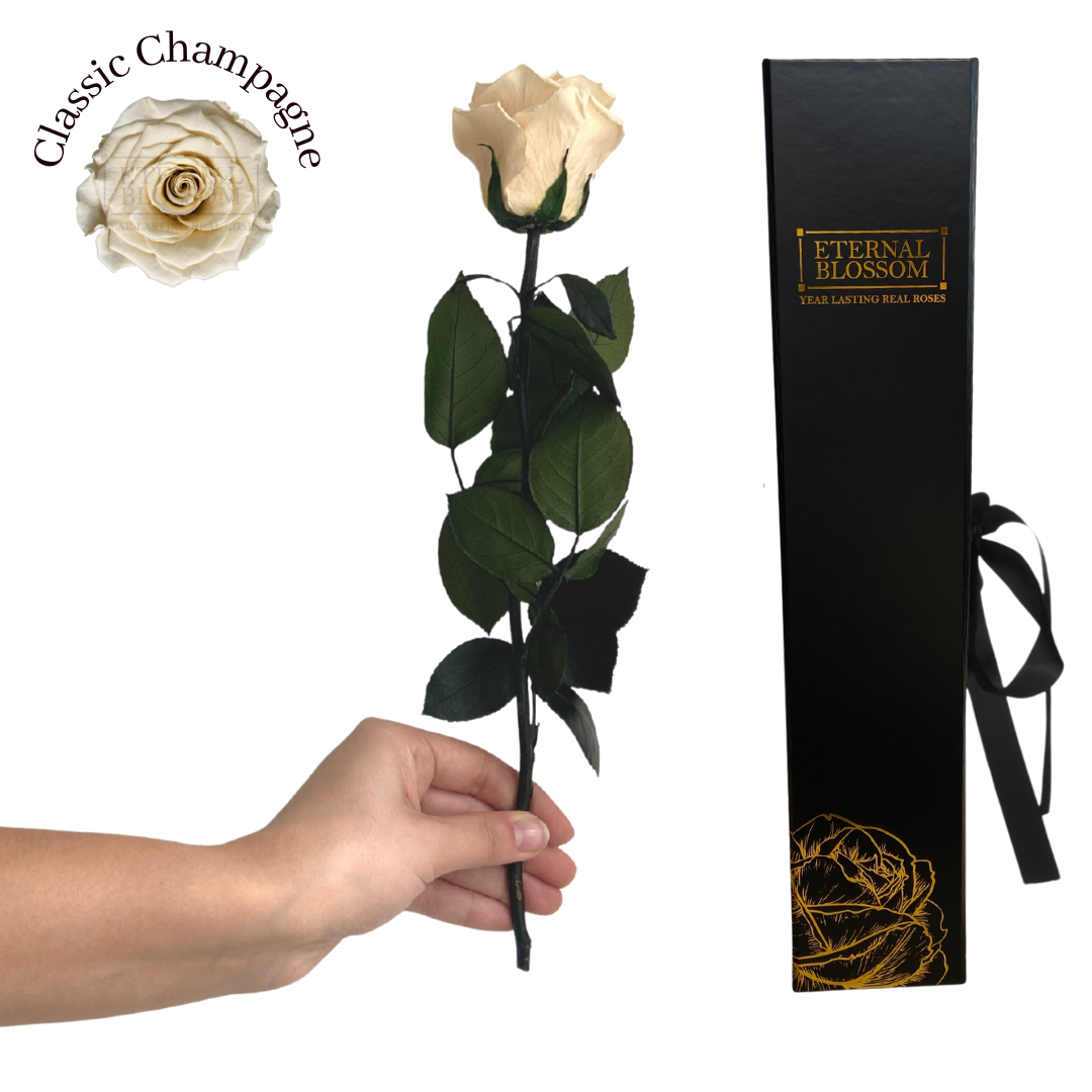 Individual Long Stem Rose - Year Lasting Infinity Roses