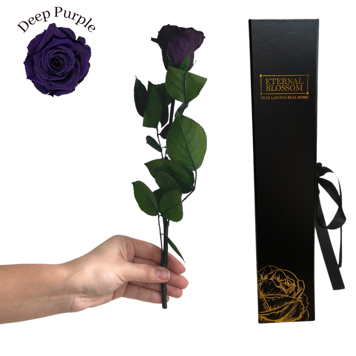 Individual Long Stem Rose - Year Lasting Infinity Roses