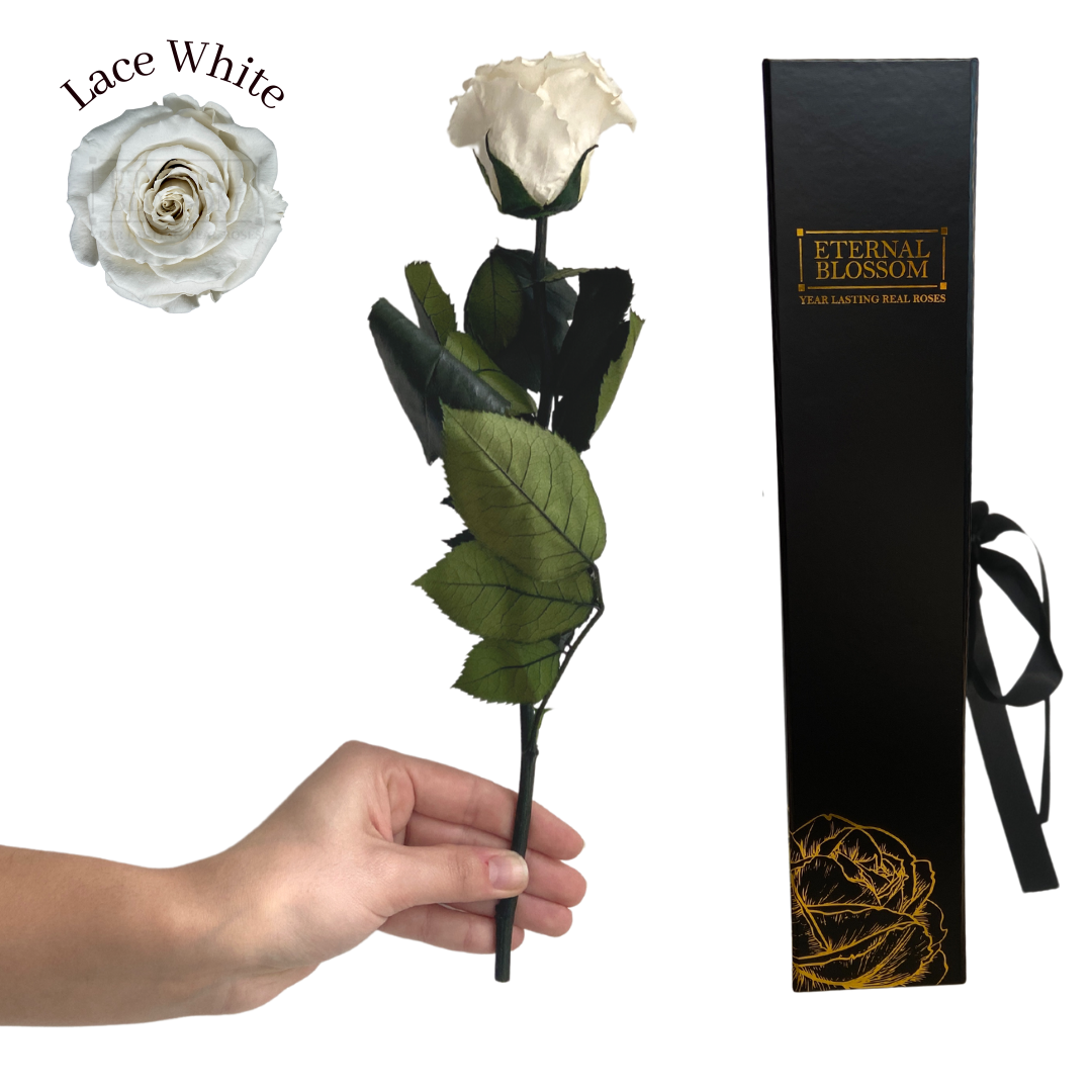 Individual Long Stem Rose - Year Lasting Infinity Roses