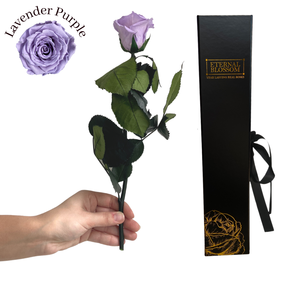 Individual Long Stem Rose - Year Lasting Infinity Roses