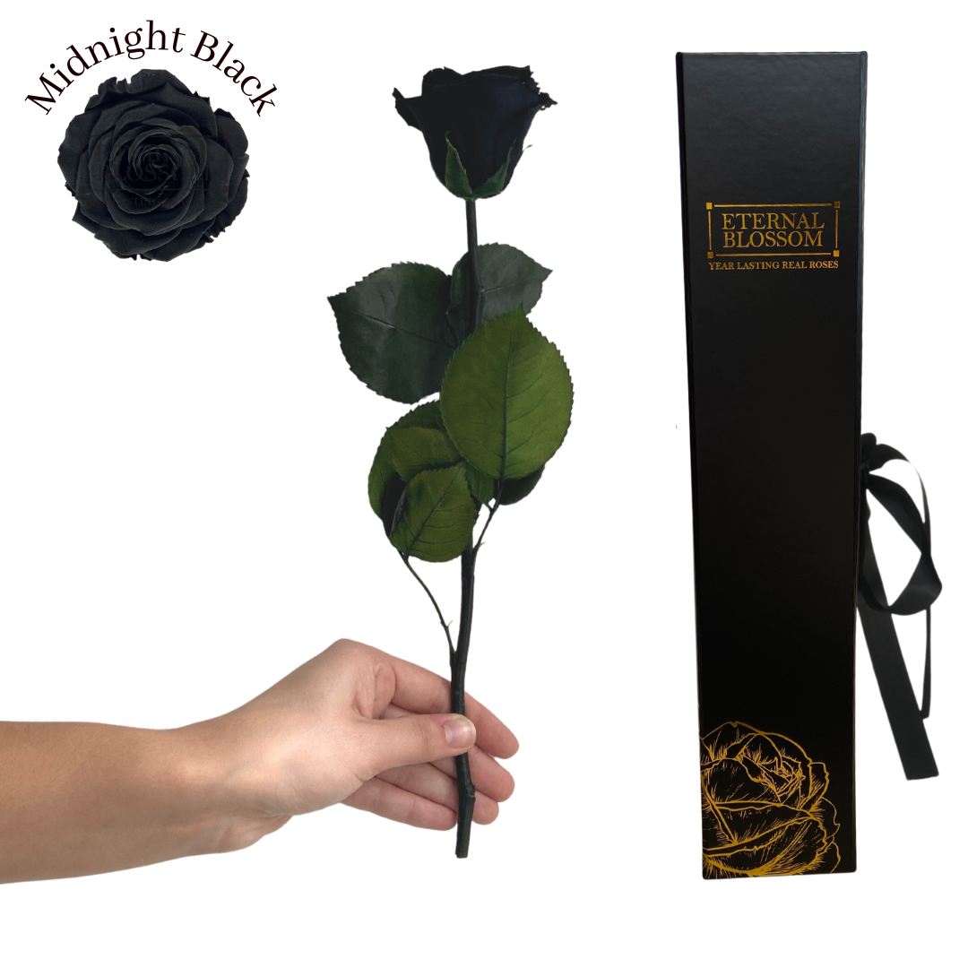 Individual Long Stem Rose - Year Lasting Infinity Roses