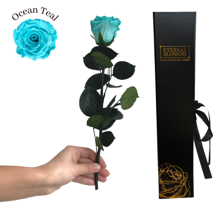 Individual Long Stem Rose - Year Lasting Infinity Roses