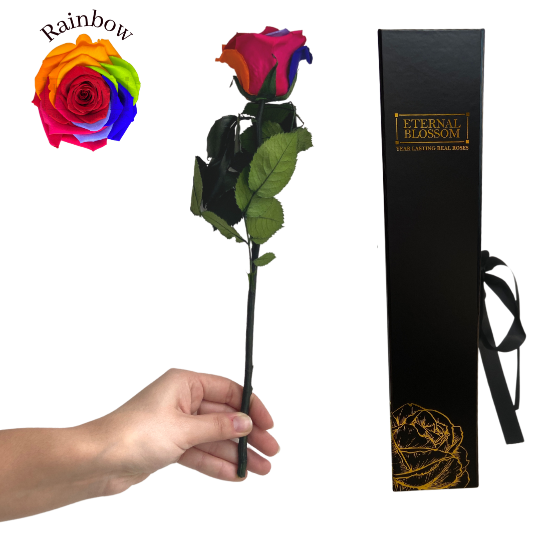 Individual Long Stem Rose - Year Lasting Infinity Roses