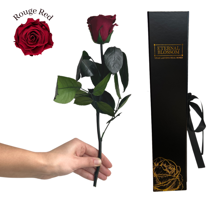 Individual Long Stem Rose - Year Lasting Infinity Roses