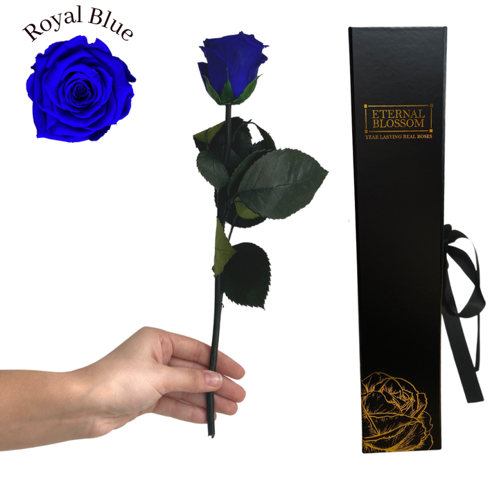 Individual Long Stem Rose - Year Lasting Infinity Roses