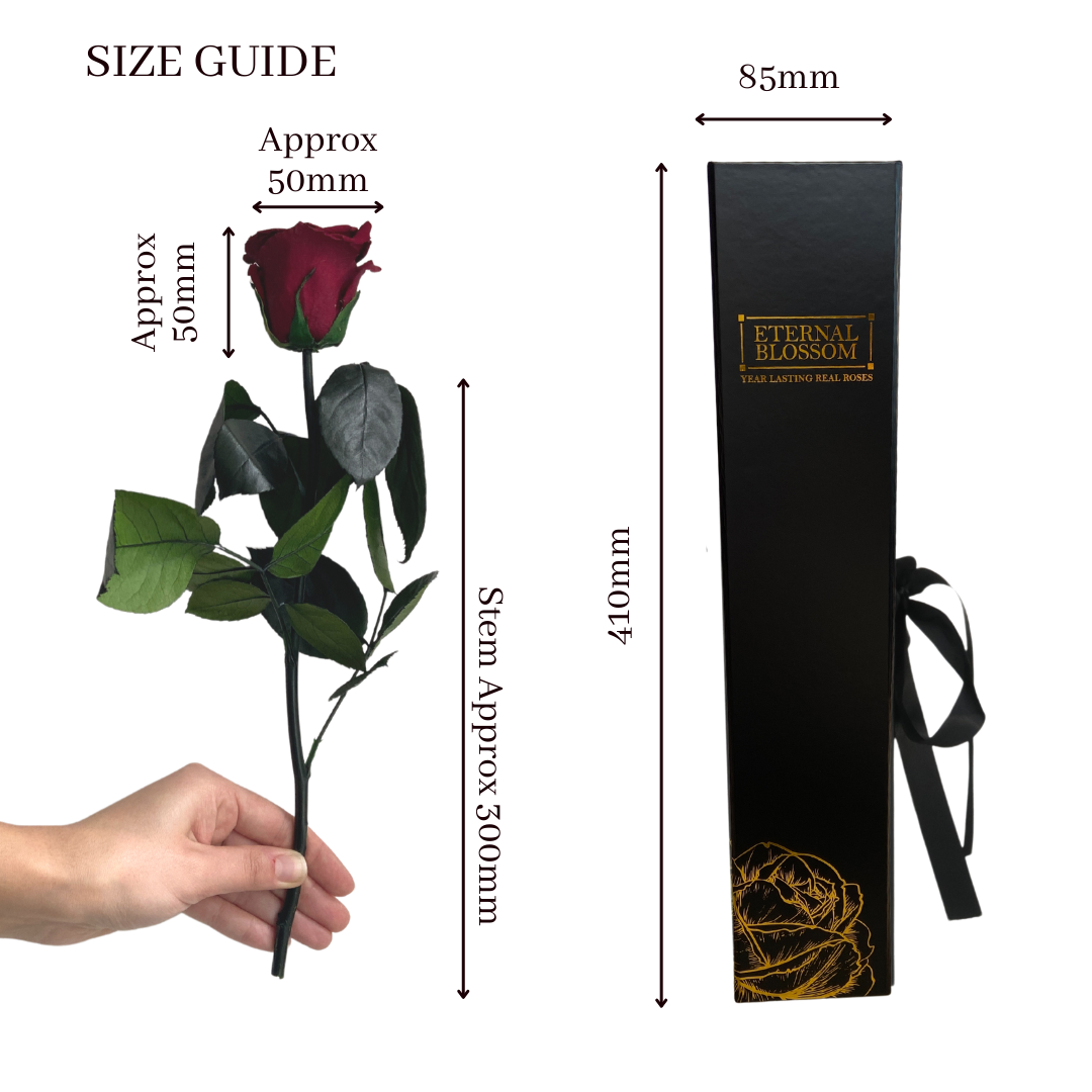 Individual Long Stem Rose - Year Lasting Infinity Roses