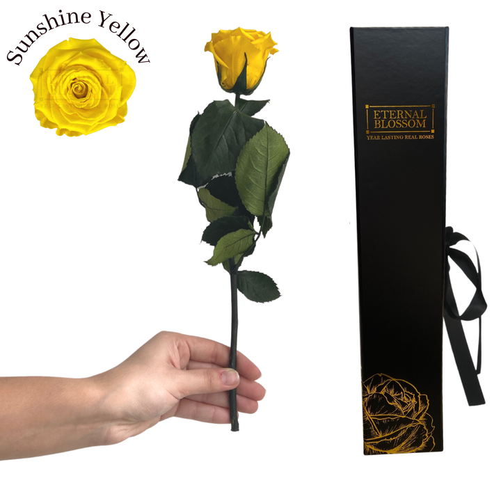 Individual Long Stem Rose - Year Lasting Infinity Roses