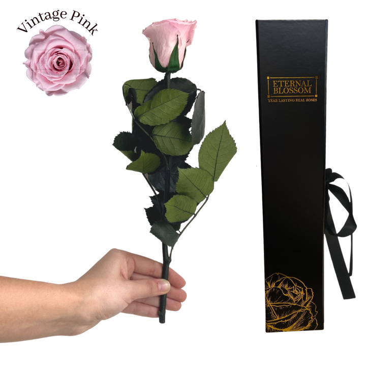 Individual Long Stem Rose - Year Lasting Infinity Roses