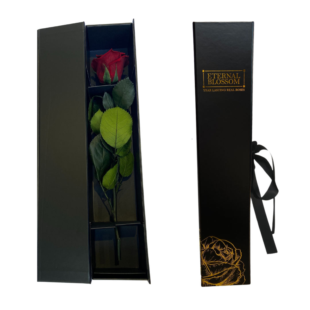 Individual Long Stem Rose - Year Lasting Infinity Roses